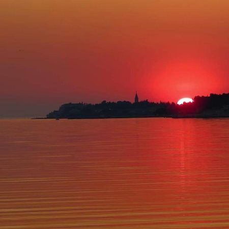 Apartment Novigrad City Centre Bagian luar foto