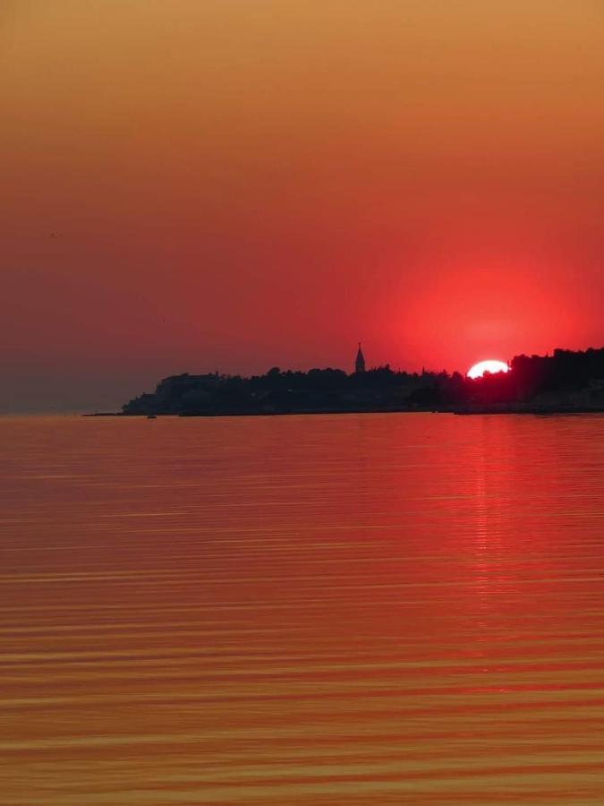 Apartment Novigrad City Centre Bagian luar foto